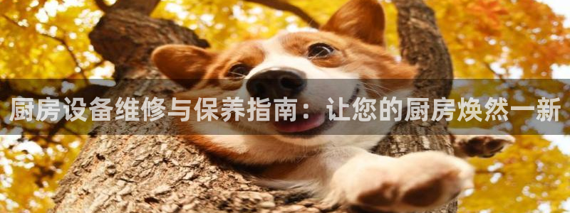 d88尊龙可靠送38元
