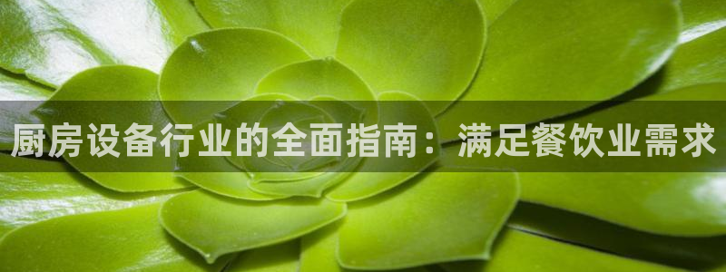 百度一下尊龙