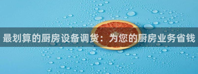 尊龙新版手机app下载：最划算的厨房设备调货：为您的厨房业务