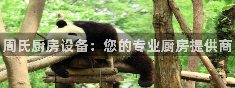 ZL尊龙凯时集团：周氏厨房设备：您的专业厨房提供商