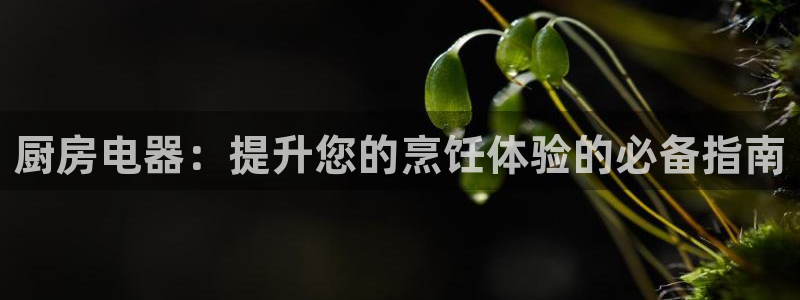 尊龙凯时导航菜单首页：厨