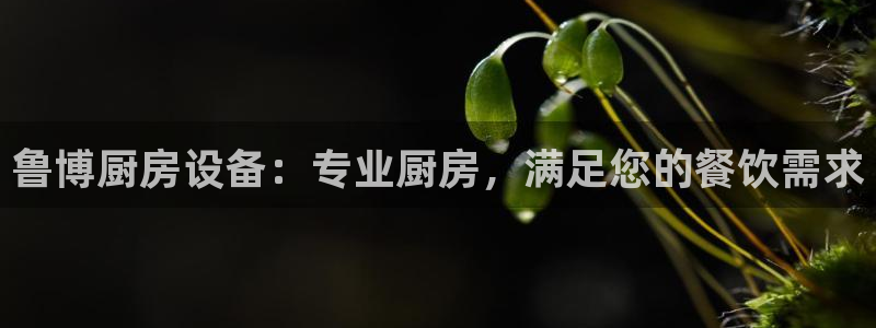 尊龙d88官网准认来就送38：鲁博厨房设备：专业厨房，满足您