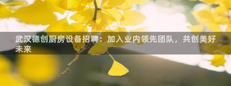 尊龙凯时 人生就是搏客服：武汉德创厨房设备招聘：加入业内领先