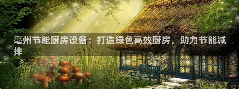 尊龙人生就是博首页入口：亳州节能厨房设备：打造绿色高效厨房，