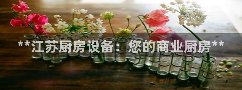 kb88凯时会员登录：**江苏厨房设备：您的商业厨房**