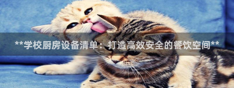 尊龙现金：**学校厨房设备清单：打造高效安全的餐饮空间**