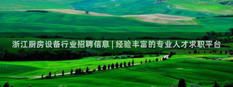 尊龙科技：浙江厨房设备行业招聘信息 | 经验丰富的专业人才求