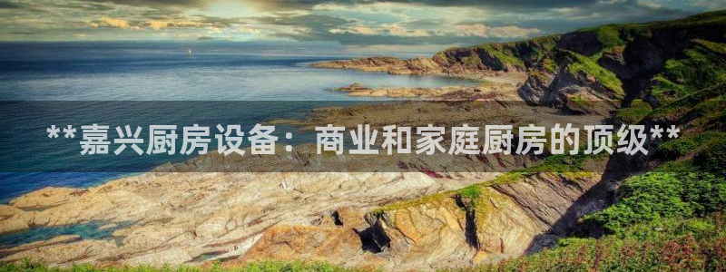 尊龙官网地址：**嘉兴厨房设备：商业和家