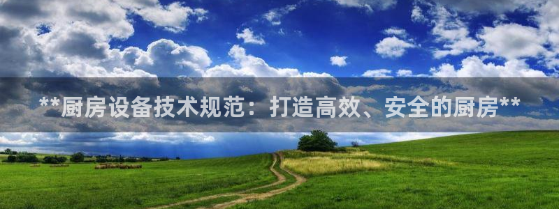 ZL尊龙凯时平台：**厨房设备技术规范：打造高效、安全的厨房