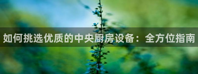 尊龙集团有限公司官网：如何挑选优质的中央厨房设备：全方位指南