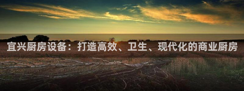 尊龙500价格：宜兴厨房设备：打造高效、卫生、现代化的商业厨