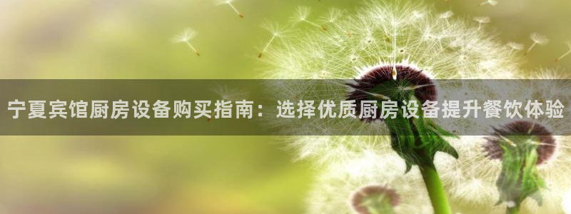 尊龙网站下分慢：宁夏宾馆厨房设备购买指南：选择优质厨房设备提