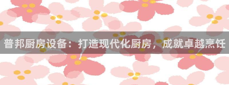 尊龙凯时一人生就是博官网：普邦厨房设备：打造现代化厨房，成就