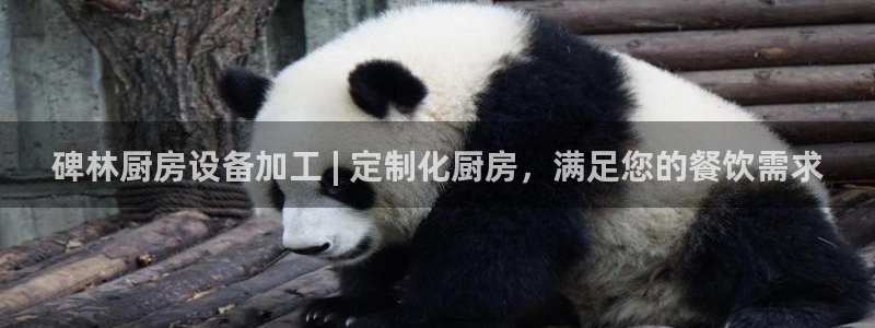尊龙凯时的最新消息：碑林