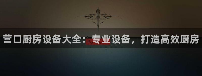ag尊龙怎么样：营口厨房设备大全：专业设备，打造高效厨房