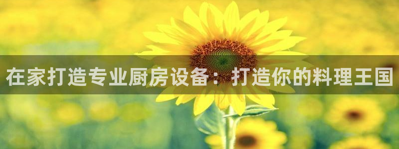 凯时平台怎么样：在家打造专业厨房设备：打
