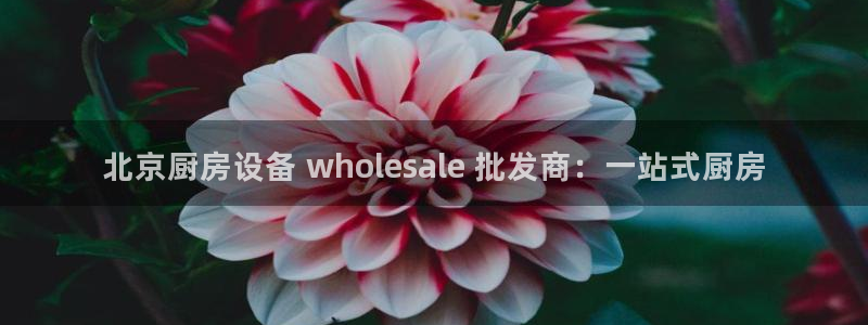 尊龙凯时平台正规吗：北京厨房设备 wholesale 批发商