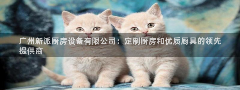 尊龙凯时官网登录入口：广州新派厨房设备有限公司：定制厨房和优