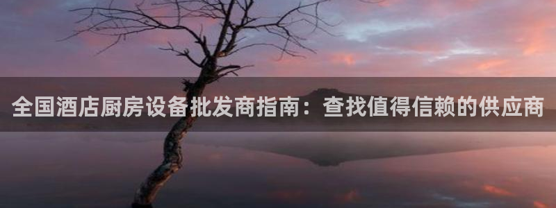 尊龙凯时人生就博：全国酒店厨房设备批发商指南：查找值得信赖的
