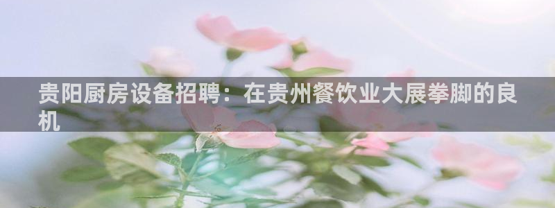 尊龙凯时平台怎么样：贵阳厨房设备招聘：在贵州餐饮业大展拳脚的