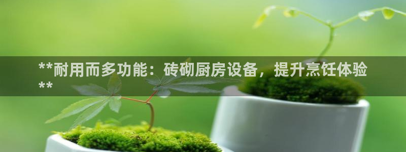 尊龙一生也走不出自己的童年：**耐用而多功能：砖砌厨房设备，