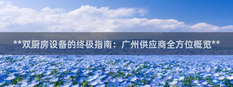 尊龙凯时登入首页：**双厨房设备的终极指南：广州供应商全方位