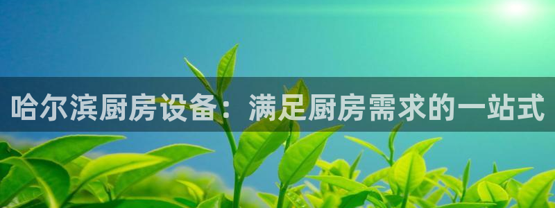 尊龙凯时干什么的：哈尔滨厨房设备：满足厨房需求的一站式