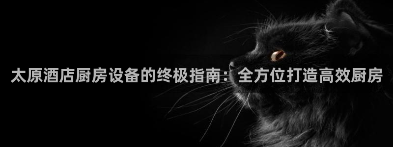 尊龙凯时下载人生就是博