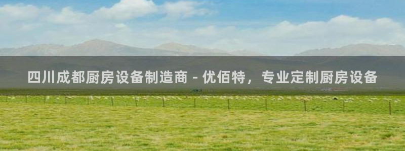 尊龙版末代皇帝