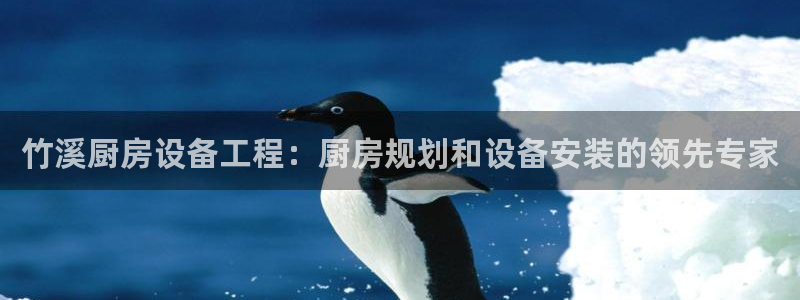 尊龙网站手机下载