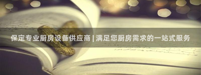 尊龙官网手机版：保定专业厨房设备供应商 | 满足您厨房需求的