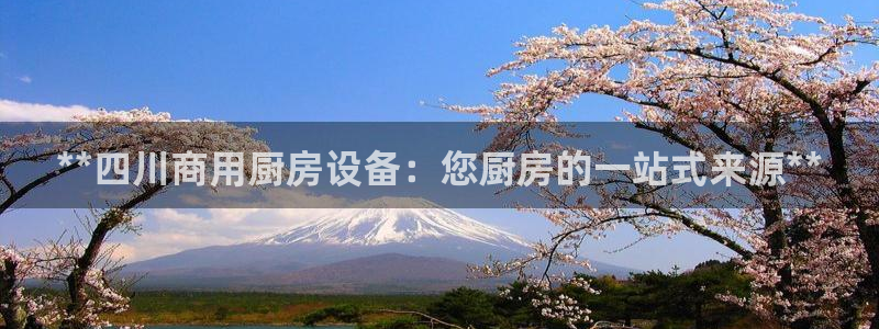 尊龙游戏官网游戏特色：**四川商用厨房设备：您厨房的一站式来