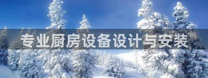尊龙品牌怎么样：专业厨房