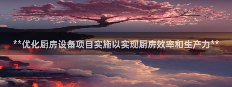 尊龙凯时几百万怎么下款：**优化厨房设备项目实施以实现厨房效