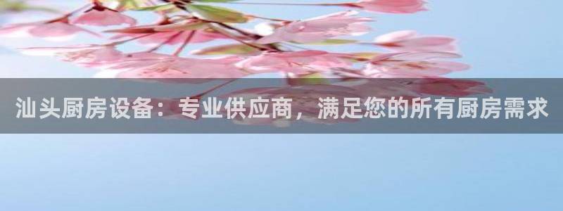 尊龙app注册官网：汕头厨房设备：专业供应商，满足您的所有厨