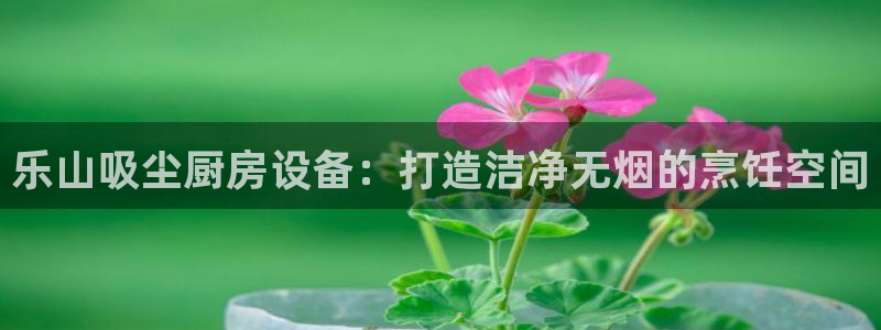 尊龙凯时人生就是搏官：乐山吸尘厨房设备：打造洁净无烟的烹饪空