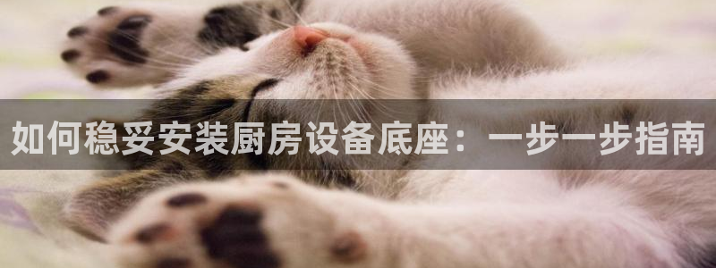 尊龙官网手：如何稳妥安装厨房设备底座：一步一步指南