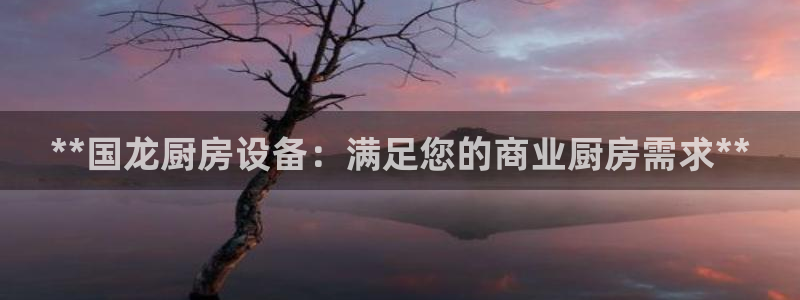 尊龙凯时-人生就是博中国官网首页：**国龙厨房设备：满足您的