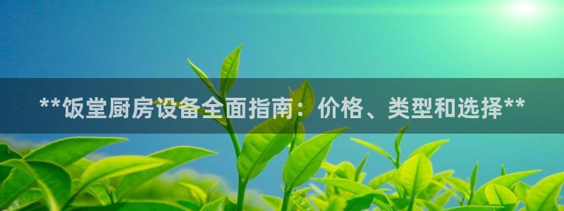尊龙凯时存款不上分：**饭堂厨房设备全面指南：价格、类型和选