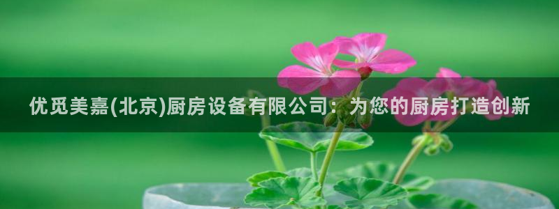 凯时国际app首页