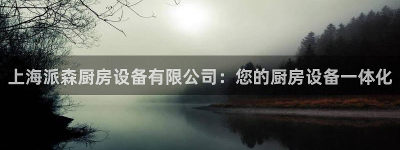尊龙AG旗舰厅官网：上海派森厨房设备有限公司：您的厨房设备一