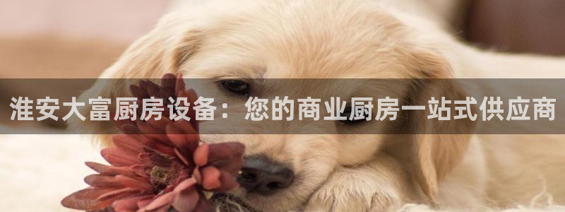 尊龙会ktv价格：淮安大富厨房设备：您的商业厨房一站式供应商