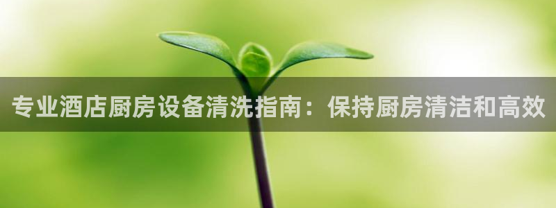 尊龙专访视频：专业酒店厨房设备清洗指南：保持厨房清洁和高效
