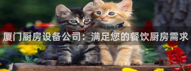 尊龙,人生就是搏：厦门厨房设备公司：满足您的餐饮厨房需求