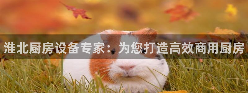 尊龙凯时平台怎么样：淮北厨房设备专家：为您打造高效商用厨房