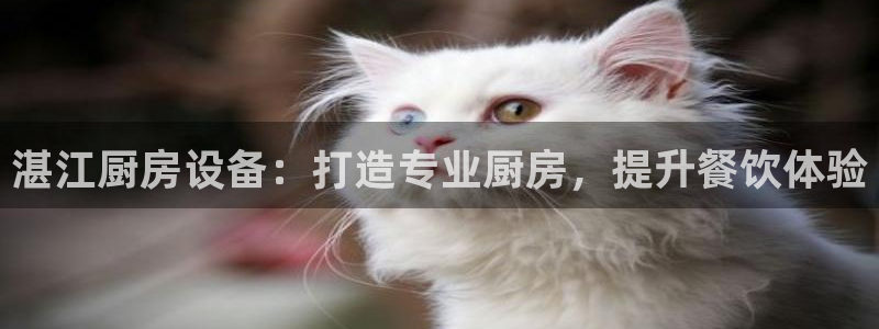 尊龙凯时总部在哪里：湛江
