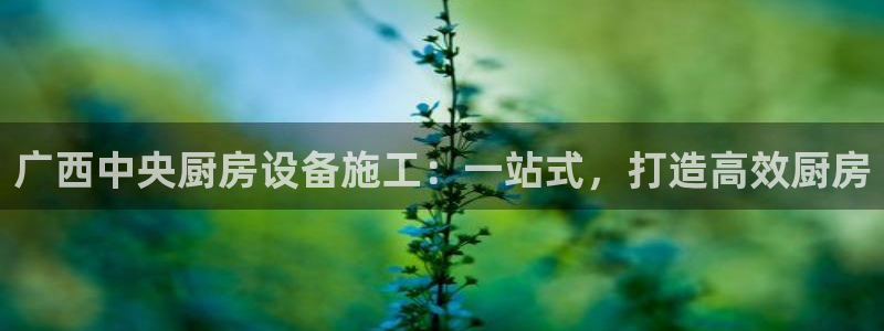 z6com尊龙凯时：广西中央厨房设备施工：一站式，打造高效厨