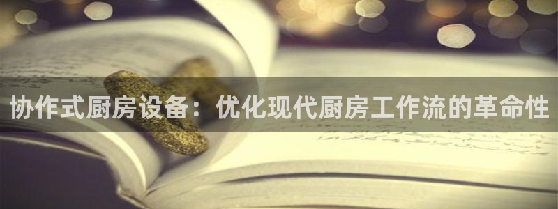 尊龙现在：协作式厨房设备：优化现代厨房工作流的革命性