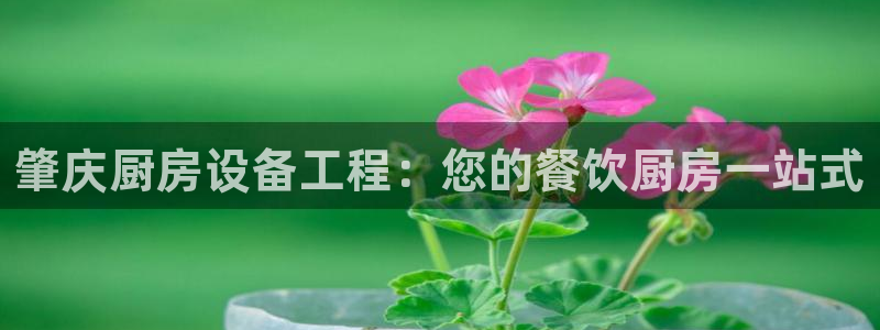 z6com尊龙凯时代理：肇庆厨房设备工程