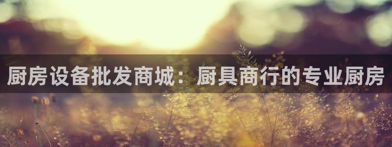 尊龙凯时z6官网：厨房设备批发商城：厨具商行的专业厨房